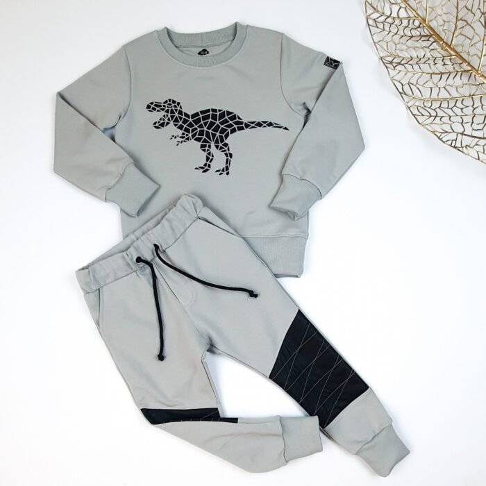 Komplektas SILVER DINO