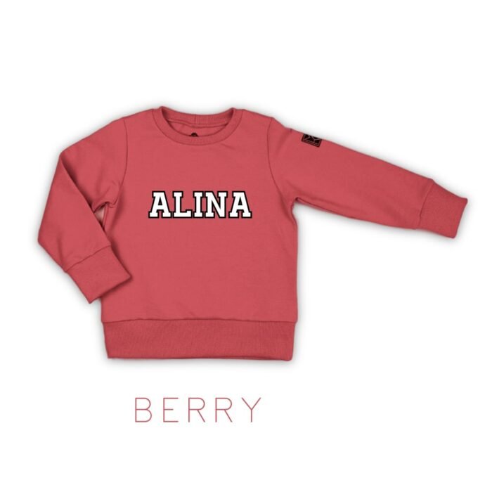 Džemperis UNIVERSITY su vardu