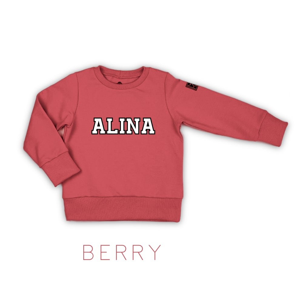 Džemperis UNIVERSITY su vardu Džemperis UNIVERSITY su vardu