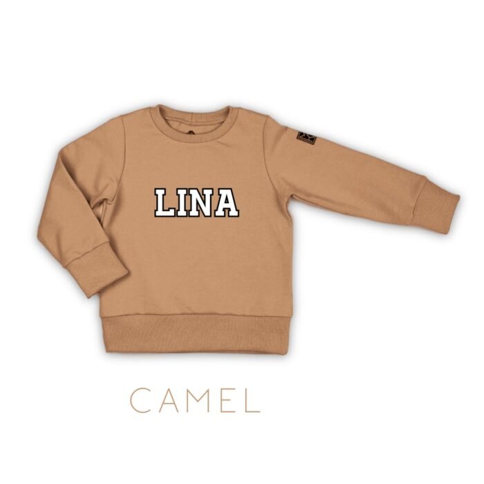 Džemperis UNIVERSITY su vardu