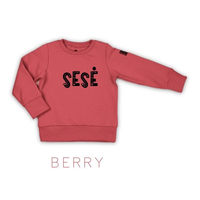 Vaikiškas sesės džemperis. Sesės džemperis. Džemperis su lietuvišku užrašu sesė