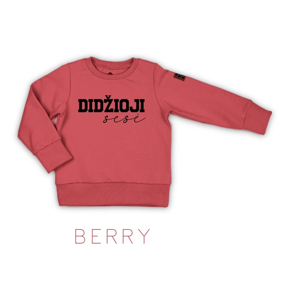 džemperis didžioji sesė berry lietuviškas džemperis stilingiems vaikams. Kokybiški vaikų drabužiai internetu sukurti Lietuvoje. Rankų darbo.Stilingi vaikų rūbai internetu, vaikų drabužiai, vaikų apranga, laisvalaikio kostiumas, laisvalaikio kostiumėlis, rankų darbo drabužiai vaikams, vaikų drabužiai, drabužiai vaikams