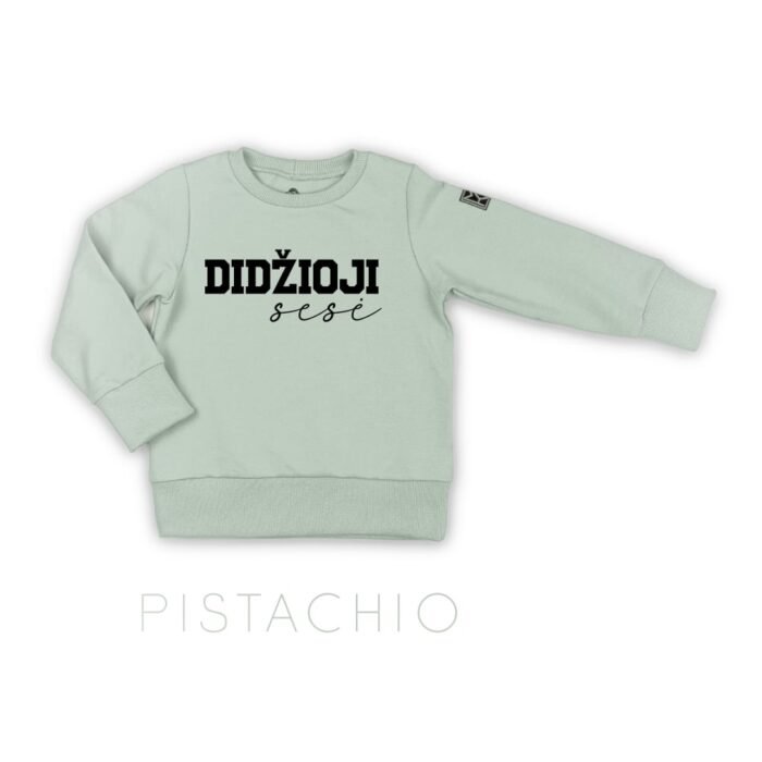 lietuviškas džemperis stilingiems vaikams. Kokybiški vaikų drabužiai internetu sukurti Lietuvoje. Rankų darbo.Stilingi vaikų rūbai internetu, vaikų drabužiai, vaikų apranga, laisvalaikio kostiumas, laisvalaikio kostiumėlis, rankų darbo drabužiai vaikams, vaikų drabužiai, drabužiai vaikams